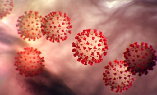 Global coronavirus cases surpass 4.8 mn: Johns Hopkins