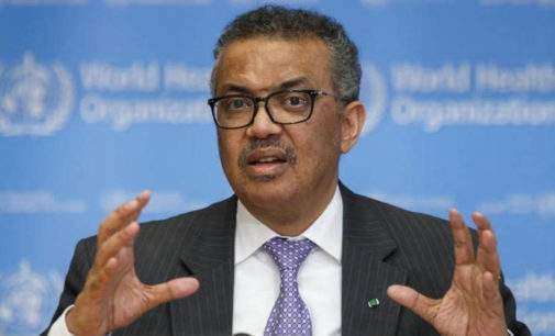 Health is “investment in our collective future”: WHO chief