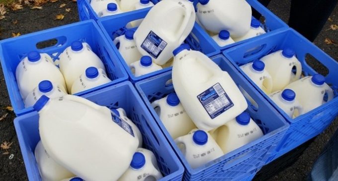 Unlike US how India utilized its surplus milk, when sales dipped during lockdown