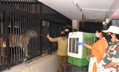Zoos in Lucknow, Kanpur install coolers for animals