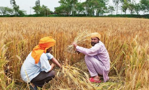 Vaisakhi for farmers and for all