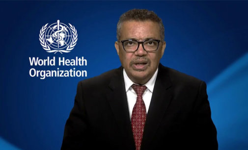 Covid-19 vaccine could come within 1 year: WHO chief