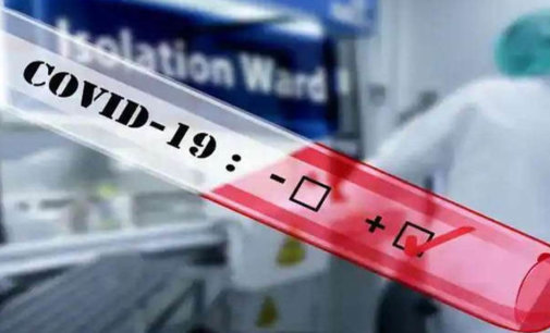India breaches 9K cases in a day, records 6,075 deaths so far