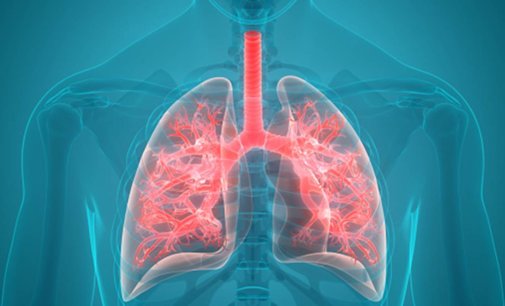 Keeping your lungs healthy