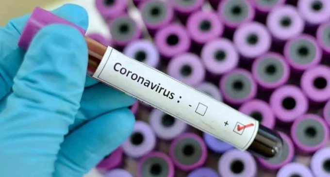 As India crosses 7L corona cases, over 4L recover Â