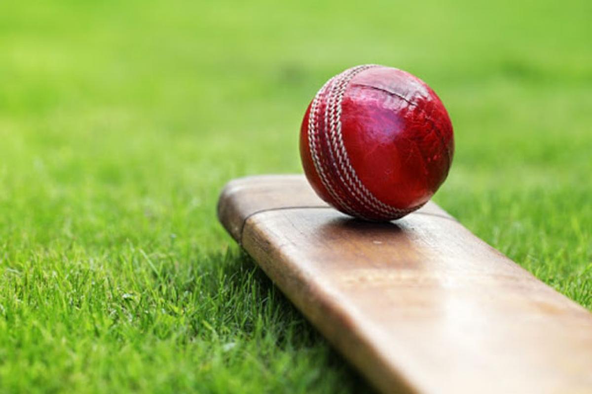 Cricket Cricket