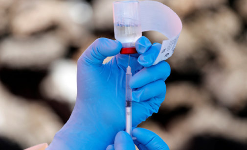 Moderna’s Covid vax shows great result in monkeys