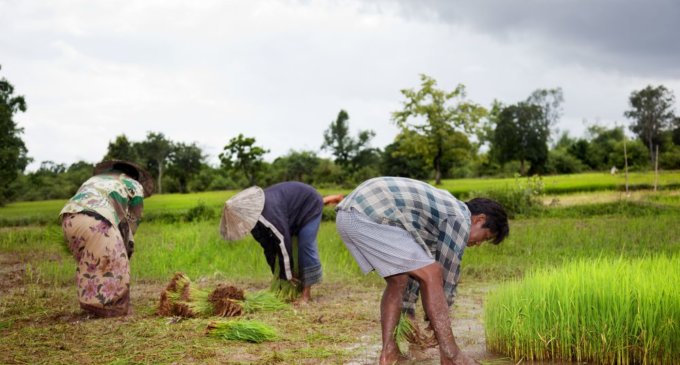 Ordinances to transform the agriculture sector