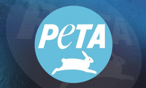 PETA to reinstall goat ad in empathy for frightened animals