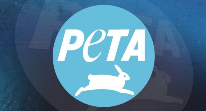 PETA to reinstall goat ad in empathy for frightened animals