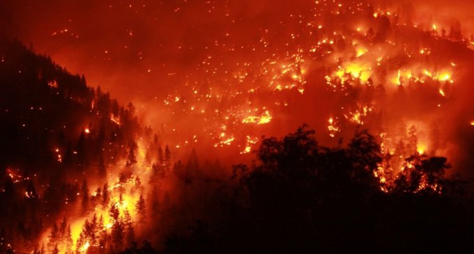Pandemics, Wildfires, Earthquakes, Floods – Five Steps Californians Need to Know to Prepare for Disasters