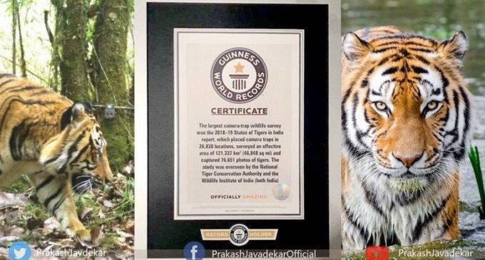 Tiger census sets Guinness Record for world’s largest camera trap survey