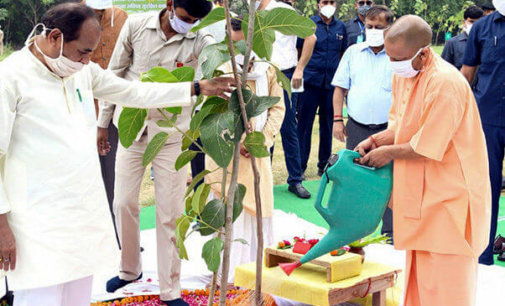 Yogi govt to set world record in tree plantation