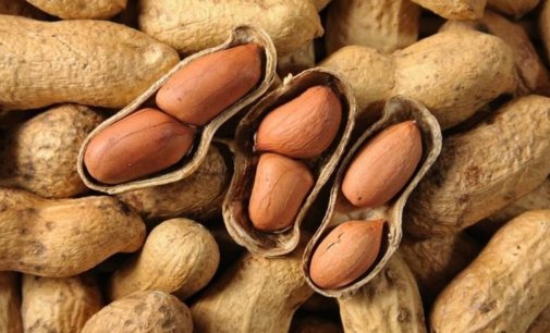 Peanut, coffee to give milk chocolate benefits of dark ones