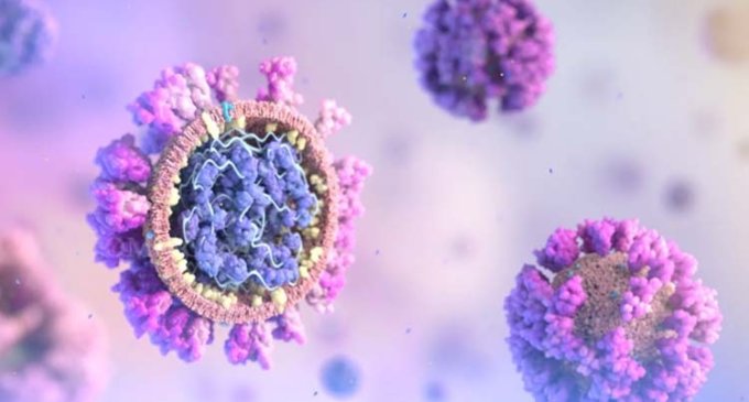 Preexisting drug shows promise in fight against Covid-19
