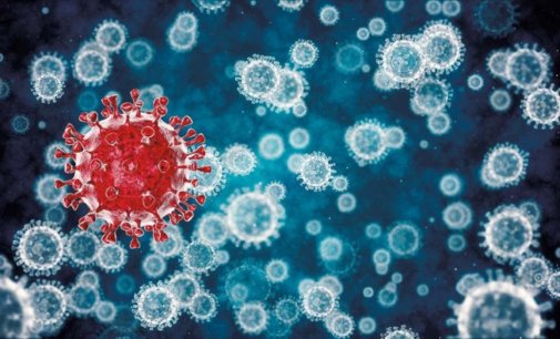 Scientists examine neurological consequences of COVID-19