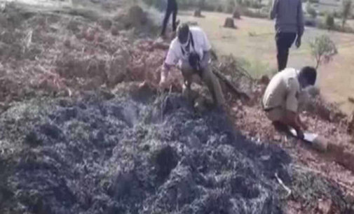 Six men set temple priest on fire in Rajasthan, one arrested
