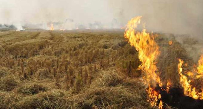 CJI: Will smoke from stubble burning kill Coronavirus?