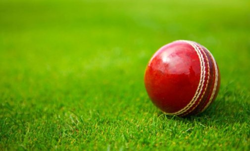 A Cricket Betting Guide for Beginners