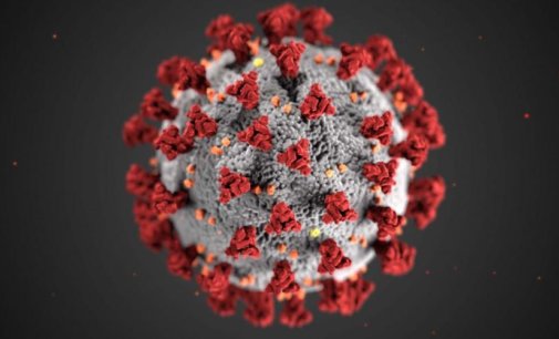 COVID-19 pandemic cannot be used as excuse by developed countries to undermine environmental conventions: India