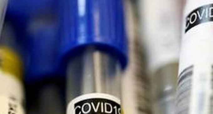 Hot or cold, weather alone has no significant effect on COVID-19 spread