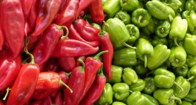 Secret to longer life — chillis in diet: AHA study