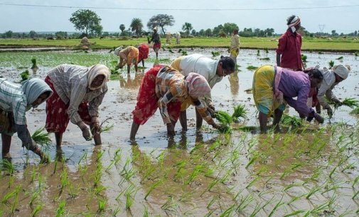 Farm laws will increase the income of farmers: MoS Agriculture
