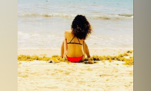 Kangana Ranaut reminisces her Mexico trip with steamy picture