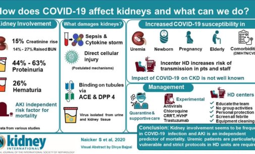 Kidney disease leading risk factor for COVID-related hospitalisation