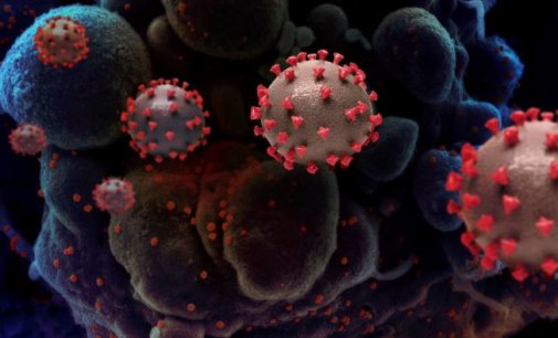 ‘Mutant Covid-19 strain in UK doesn’t appear to be deadlier’