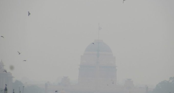 Dense fog hampers visibility in Delhi, UP, Chandigarh, Rajasthan