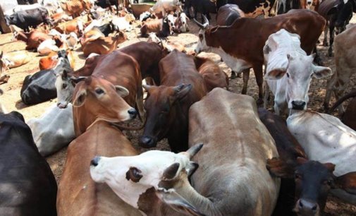 Rashtriya Kamdhenu Aayog to hold online exam on cow science on Feb 25