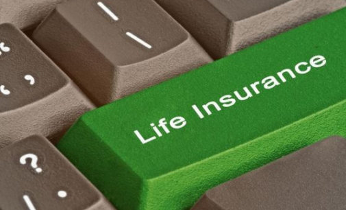 Should You Buy Multiple Term Insurance Plans?
