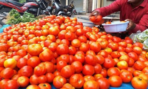 Pakistan: Sindh farmers protest against Imran Khan government over tomato import