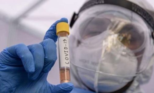 4 cases of Covid’s SA variant, one of Brazil found in India: ICMR