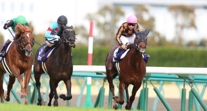 Japanese horse racing posts solid growth despite challenges