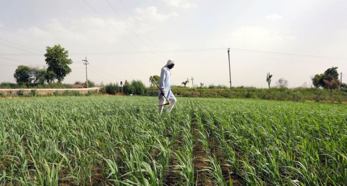 PM calls for efforts in farming from ‘sowing to earning’