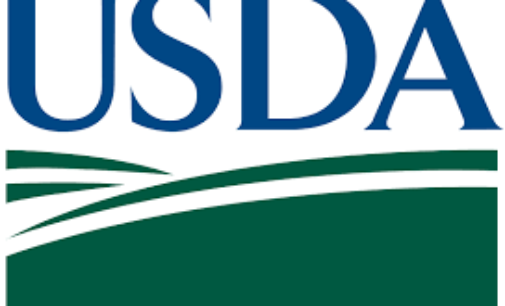 USDA increases SNAP benefits up to $100 per household; Funding from American Rescue Plan