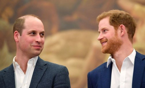 Prince William, Prince Harry mutually finalise statue design of Princess Diana