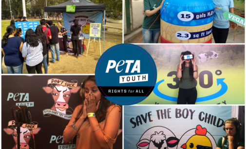 No reported case of COVID-19 transmission from animals to humans: PETA