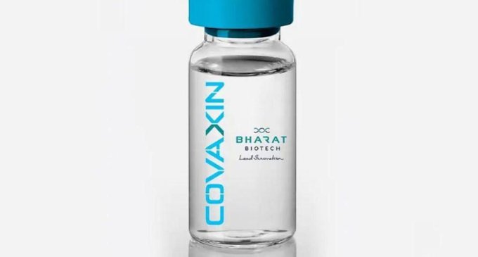 Bharat Biotech, WHO pre-submission meeting on June 23: WHO