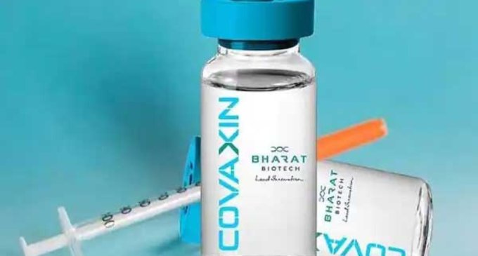 DCGI’s expert panel to review Phase III data of Covaxin today