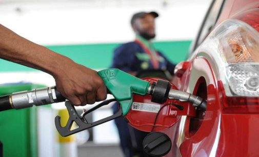 Fuel rates continue to soar; CNG, PNG prices also hiked in NCR