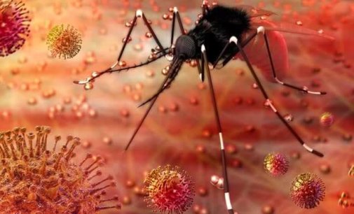 Kerala reports first positive case of Zika virus, 13 suspected cases