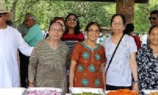 Summer Picnic Hosted by Indian Seniors of Chicago