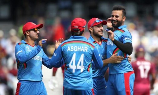 Hard to see Afghanistan playing T20 World Cup: Tim Paine
