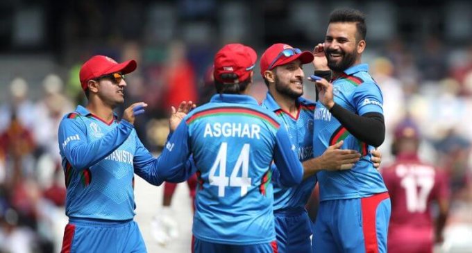 Hard to see Afghanistan playing T20 World Cup: Tim Paine