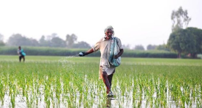 New Farm Bill and private players like Adani Group, ITC upscale Indian Agri-exports