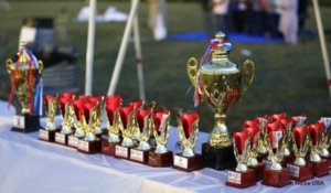 cricket tropies