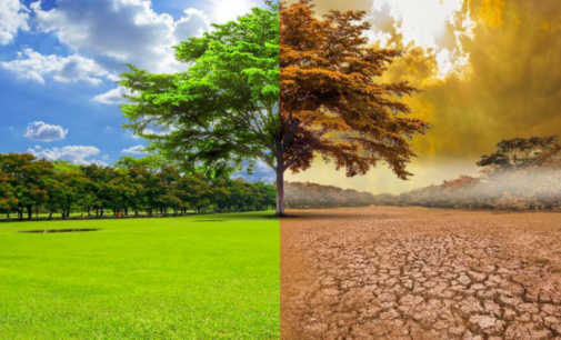 Developed countries fail to meet climate goals, while India exceeds targets